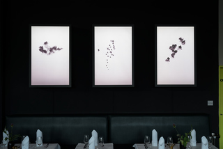 »Peng #01, #02, #03« inkjet pigment-print on backlit-film, striplights, wood, 129 x 86 x 25 cm, Gallery Oel-Früh, Hamburg, 2018